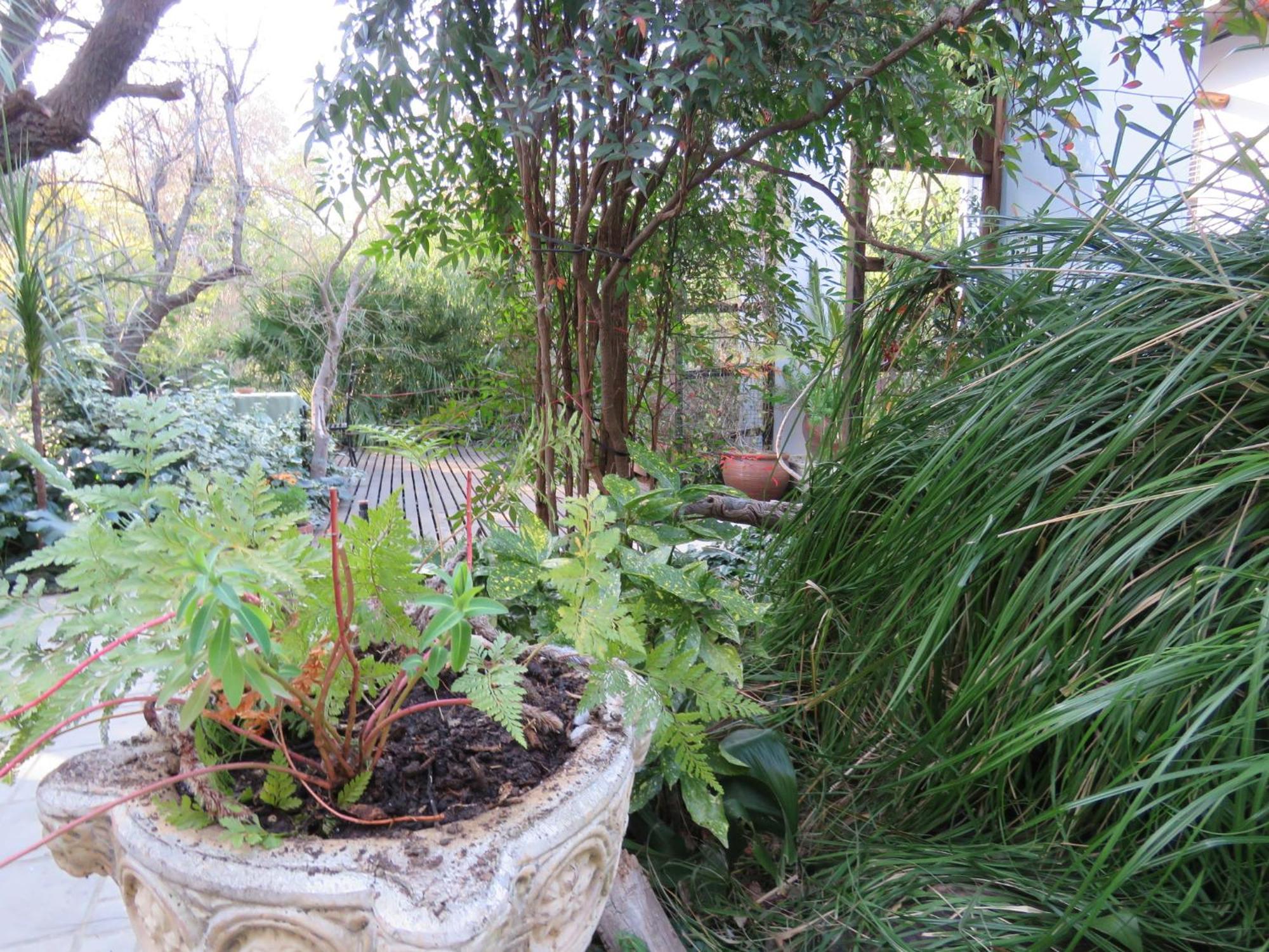Jedidja Bed And Breakfast Bloemfontein Eksteriør bilde