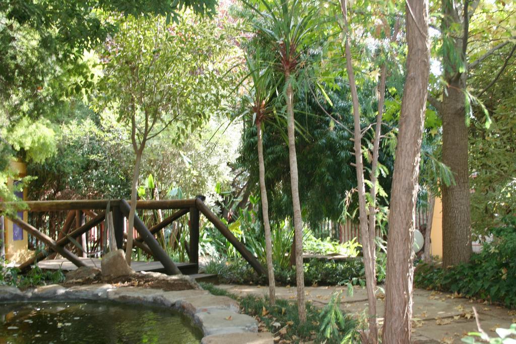 Jedidja Bed And Breakfast Bloemfontein Eksteriør bilde