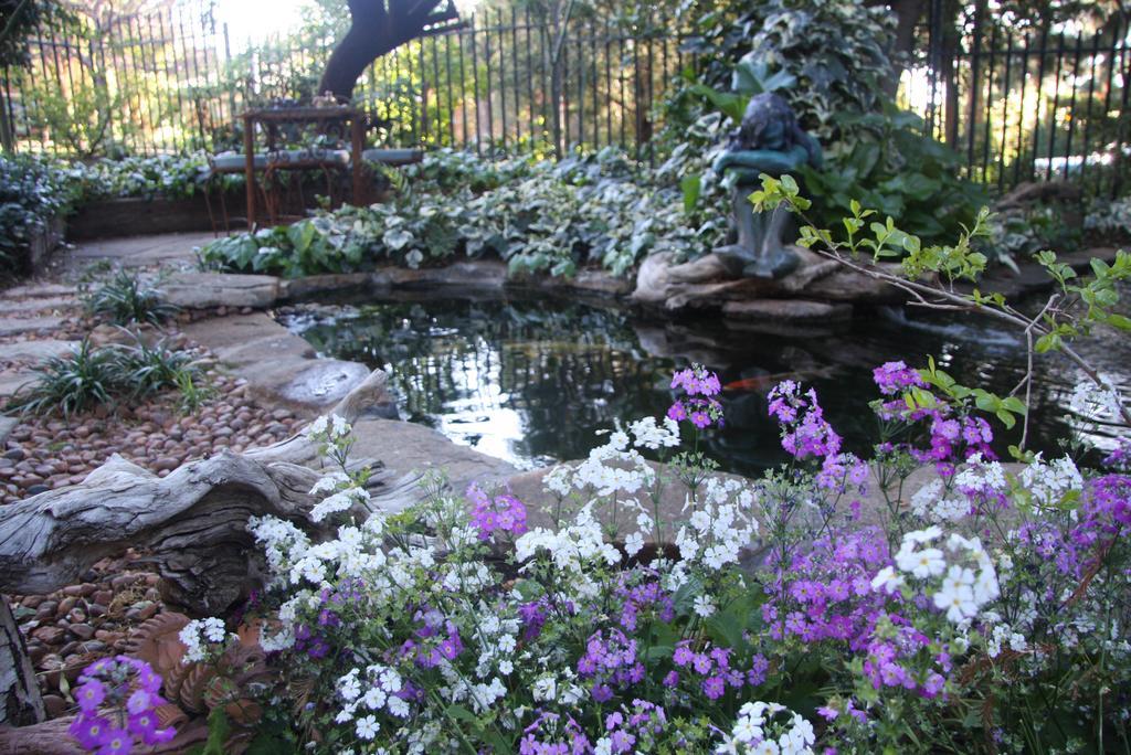 Jedidja Bed And Breakfast Bloemfontein Eksteriør bilde