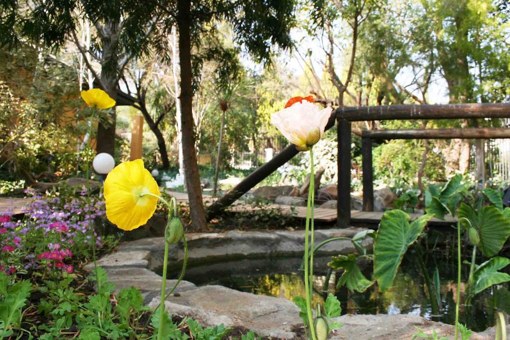 Jedidja Bed And Breakfast Bloemfontein Eksteriør bilde