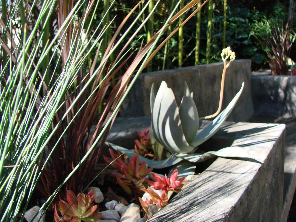 Jedidja Bed And Breakfast Bloemfontein Eksteriør bilde